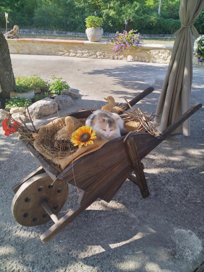"Il Miglio" Country House Pettorano sul Gizio Dış mekan fotoğraf