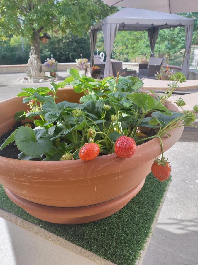 "Il Miglio" Country House Pettorano sul Gizio Dış mekan fotoğraf